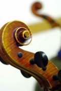 resized__120x179_Violine